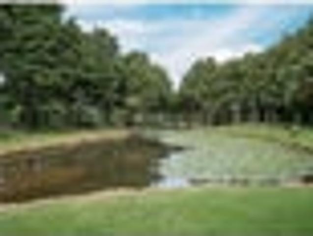 Land for sale in Karetu, Northland