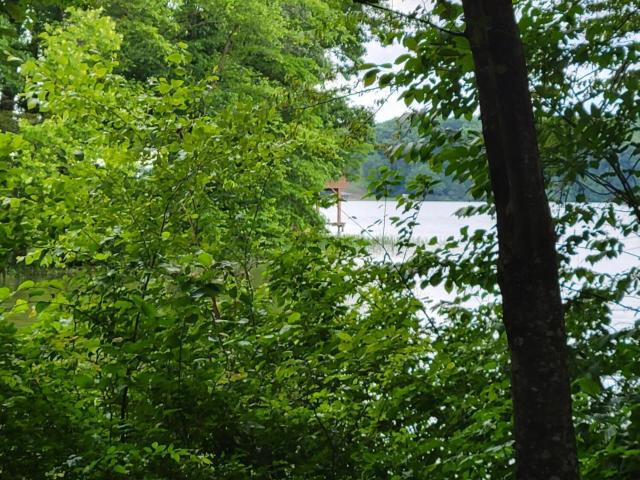 Land for sale in Macon, North Carolina