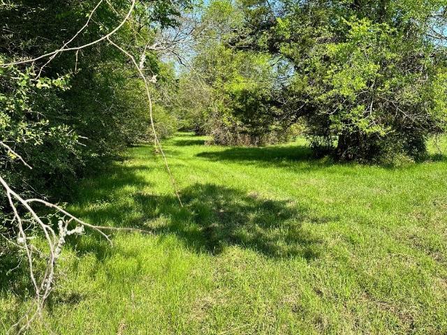 Land for sale in Lovelady, Texas