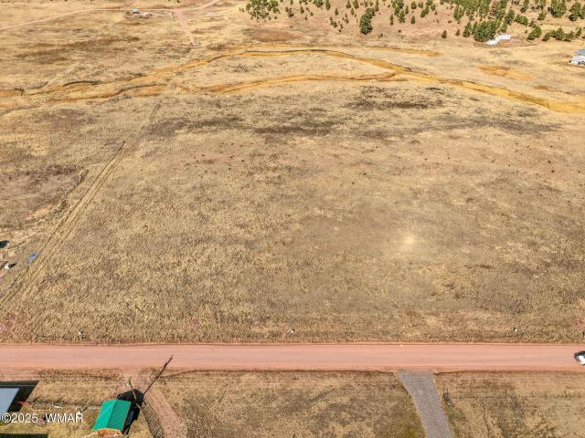 Land for sale in Alpine, Arizona