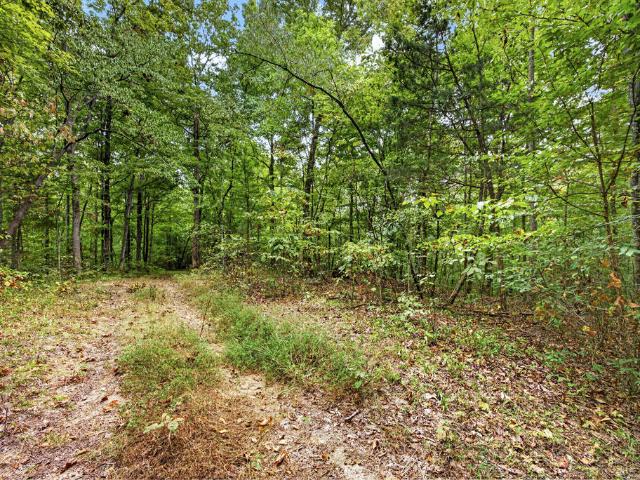 Land for sale in Neely Crossroads, Celina