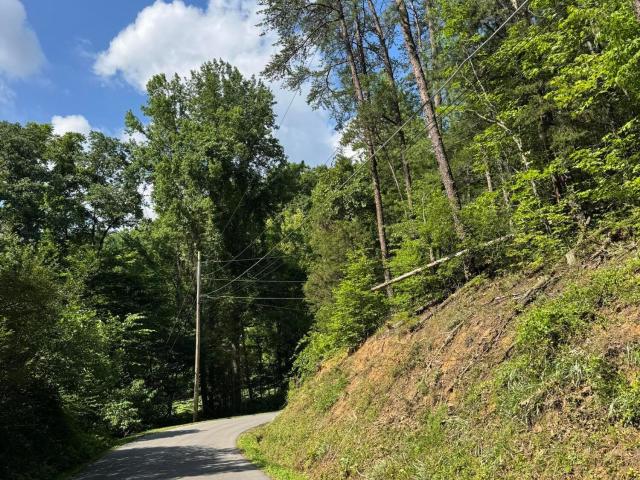 Land for sale in Tennessee