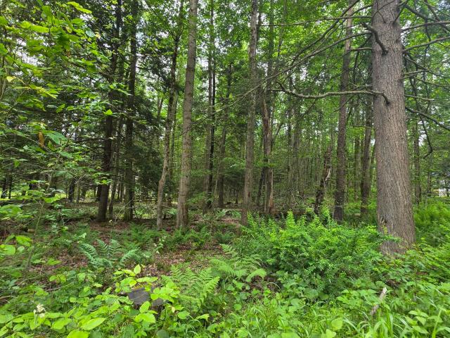 Land for sale in Sullivan, Pennsylvania