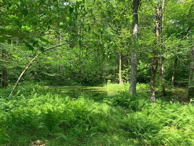 Land for sale in Bethel, New York