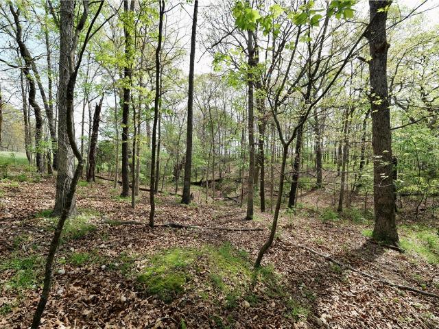Land for sale in Ark