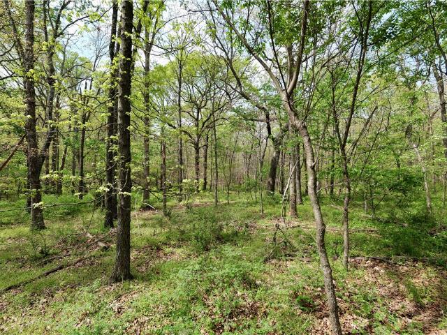 Land for sale in Ark