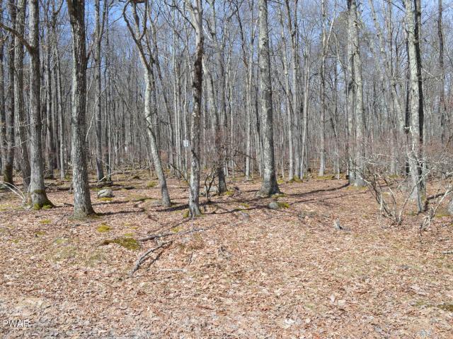 Land for sale in Beach Lake, Pennsylvania