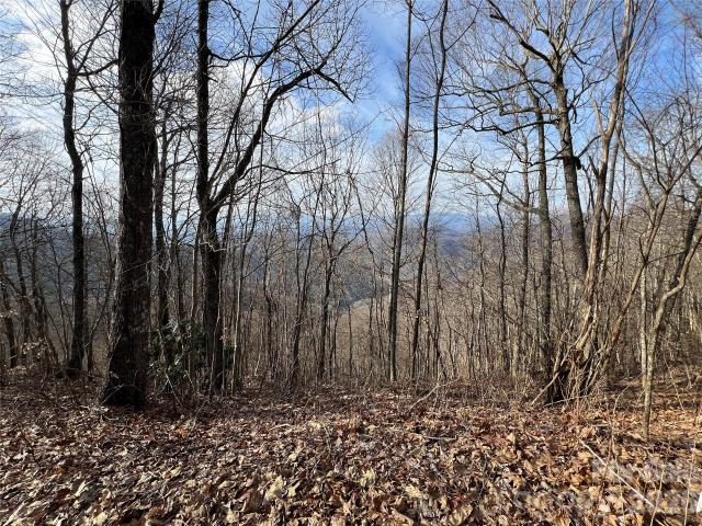 Land for sale in Bryson City, North Carolina