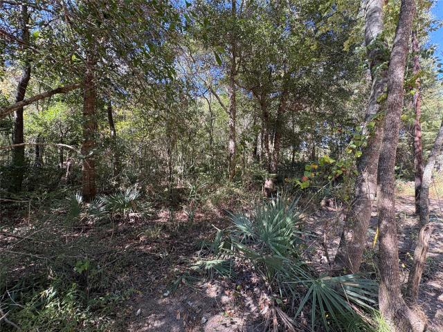 Land for sale in Shepherd, Texas