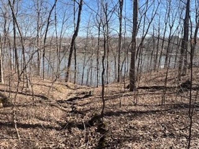 Land for sale in Goreville, Illinois