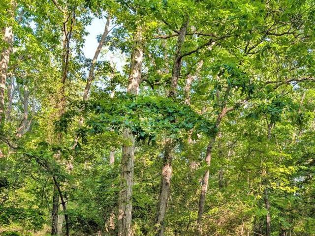 Land for sale in Virginia