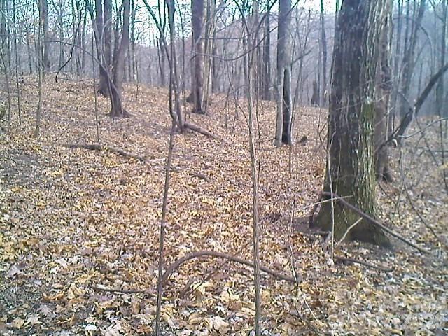 Land for sale in Rutherford, North Carolina