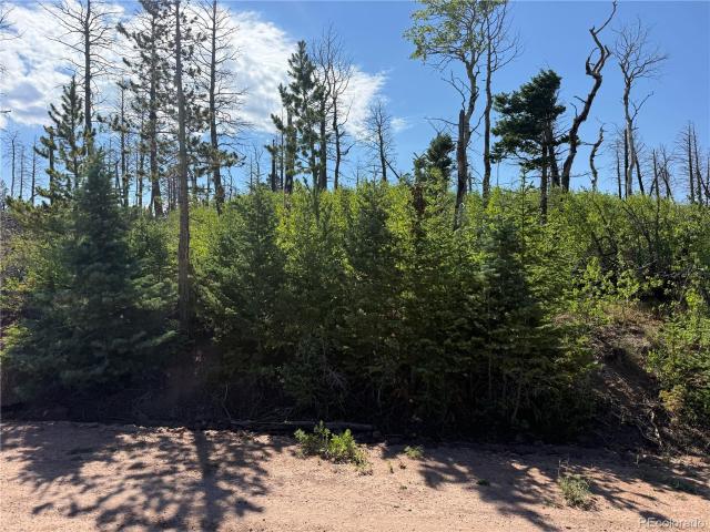 Land for sale in Fort Garland, Colorado