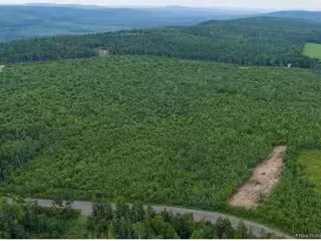 House for sale in Anagance, Cardwell Parish