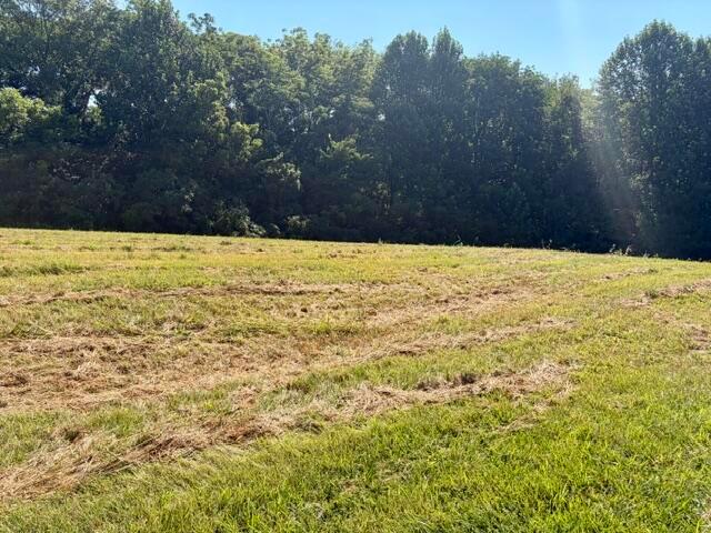 Land for sale in Campbellsville, Kentucky
