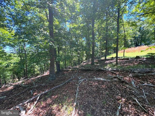 Land for sale in Romney, West Virginia