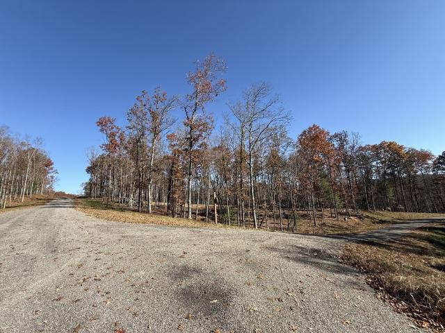 Land for sale in Georgia