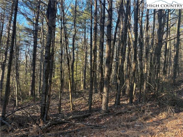 Land for sale in Alleghany, North Carolina