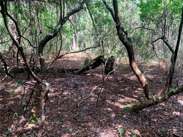 Land for sale in Mandeville, Louisiana