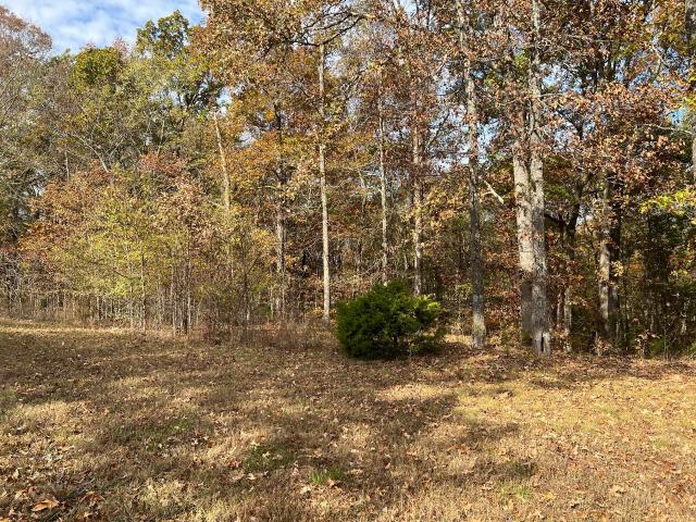 Land for sale in Murray, Kentucky
