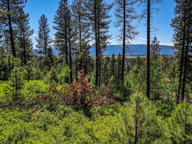 Property for sale in Donnelly, Idaho