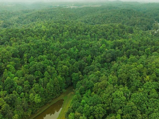 Land for sale in High Falls, Campton