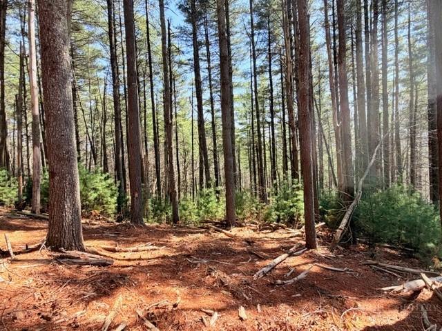 Land for sale in West Jefferson, North Carolina