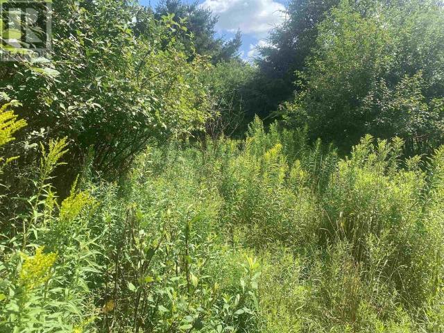 Land for sale in Colchester, Nova Scotia