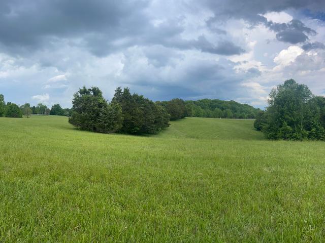 Land for sale in Russell Springs, Kentucky