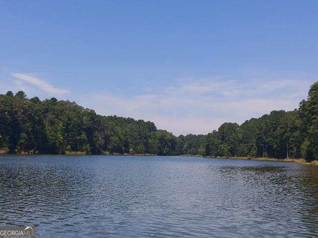 Land for sale in Elbert, Georgia
