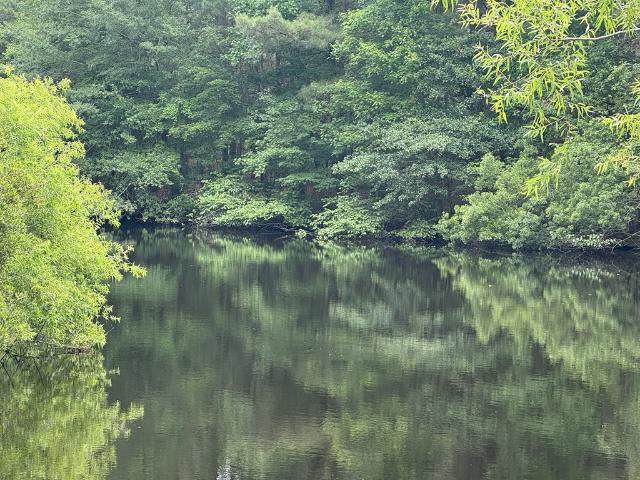 Land for sale in Virginia