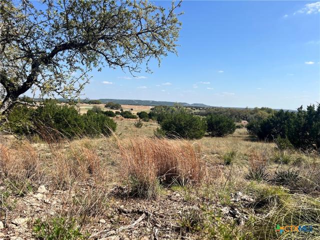 Land for sale in Briggs, Texas