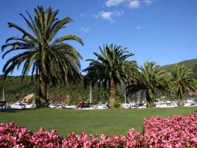 House for sale in Marlborough
