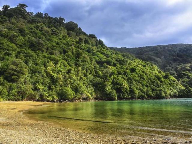 Land for sale in Koromiko, Marlborough