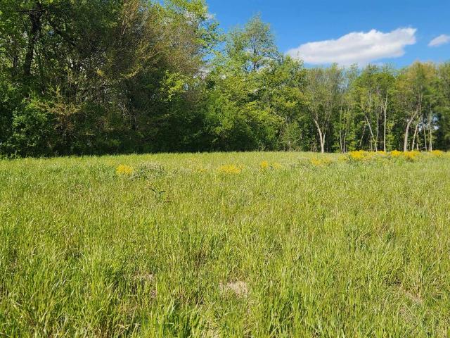 Land for sale in Cottage Grove, Wisconsin