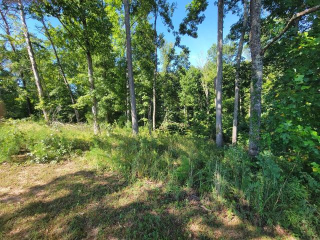 Land for sale in Harmony, Rock Island
