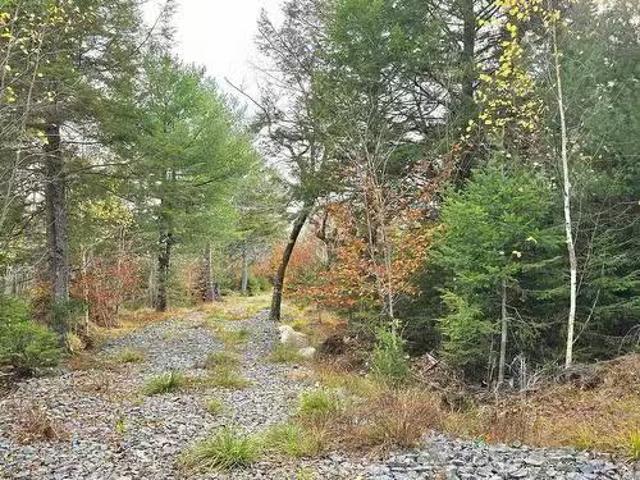 House for sale in Parkdale, Nova Scotia