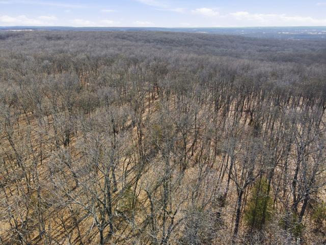 Land for sale in Humansville, Missouri