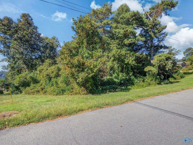Land for sale in Lindsay Lane, Guntersville