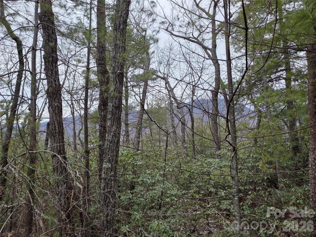 Land for sale in Marion, McDowell County