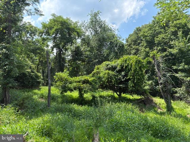 Land for sale in Hardy, West Virginia