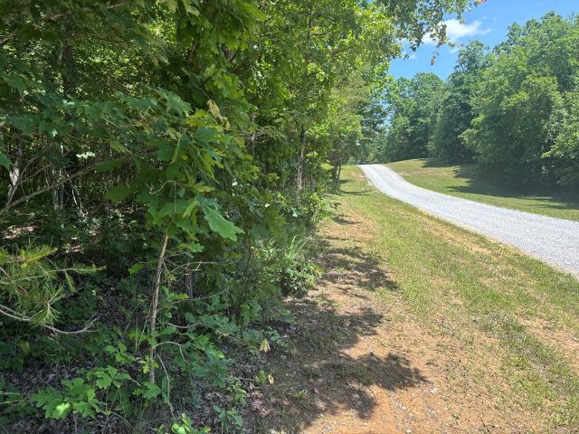 Land for sale in Spencer, Middle Tennessee