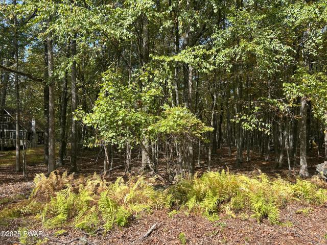 Land for sale in Dingmans Ferry, Pennsylvania