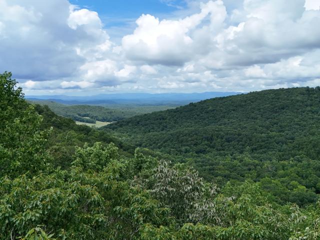 Land for sale in Ellijay, Gilmer County