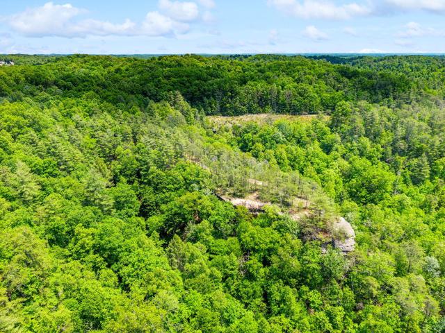 Land for sale in Zoe, Kentucky