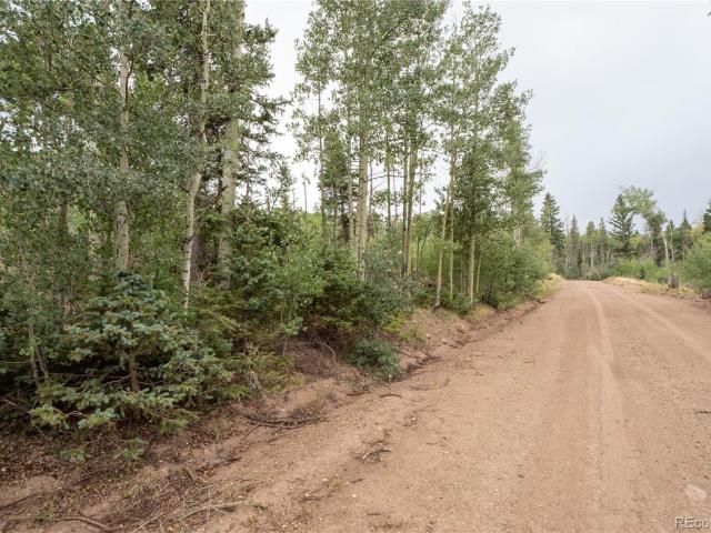 Land for sale in Fort Garland, Colorado