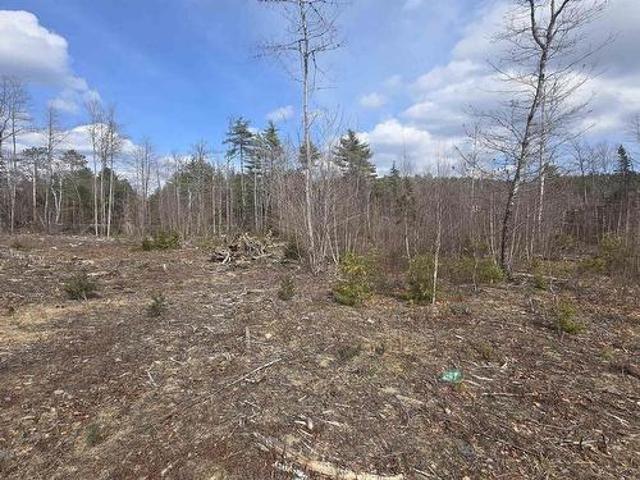 Land for sale in Midville Branch, Nova Scotia