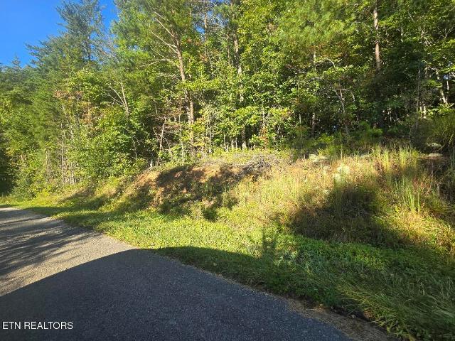 Land for sale in Tennessee
