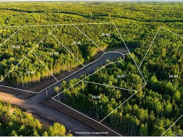 Land for sale in Lower Coverdale, Coverdale Parish