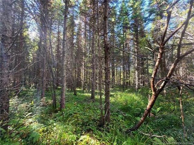 Land for sale in Harvey, Harvey Parish